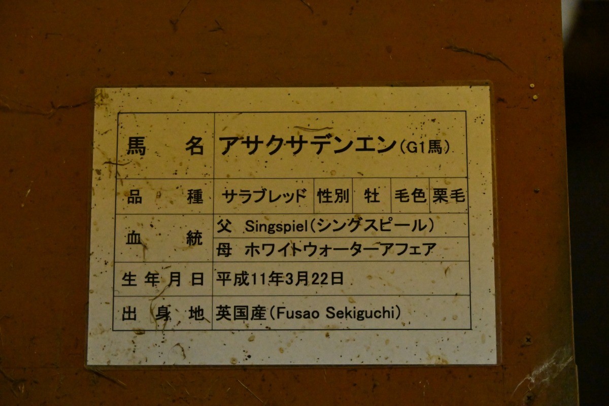 c18a29fb3431a5b12b05202dca84c4a5-1781854830.jpg c18a29fb3431a5b12b05202dca84c4a5-1781854830.jpg